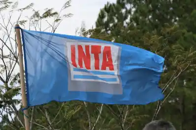 Restituyeron los decretos rechazados en el Congreso