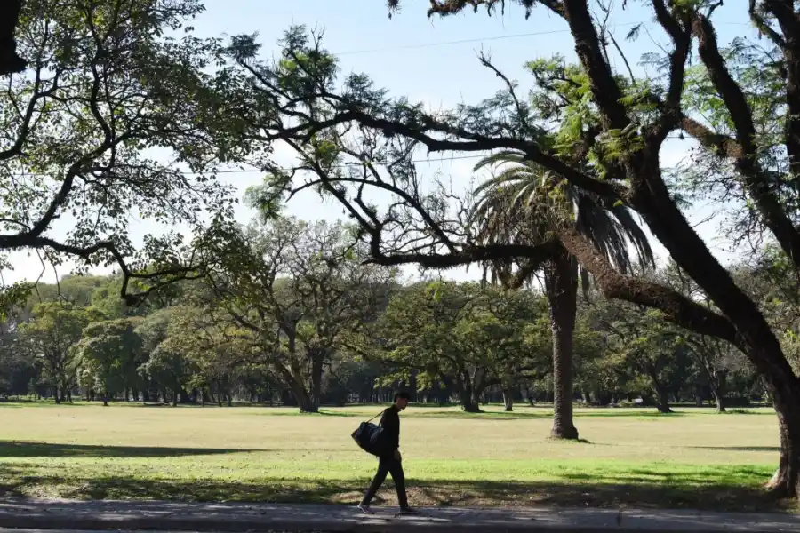La contaminación del aire disparó las consultas respiratorias en Tucumán