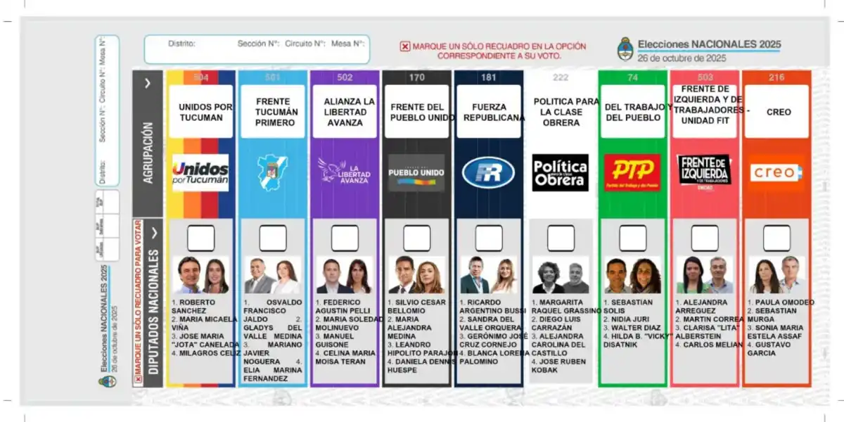 PARA LAS NACIONALES. La Boleta Única Papel muestra toda la oferta electoral y, en el reverso, cuenta con un instructivo para quien votará.