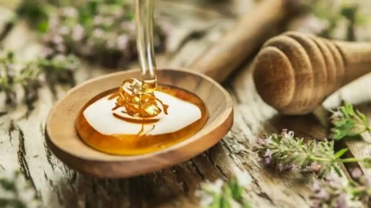 ¿Miel en las plantas?: para qué sirve y por qué lo recomiendan