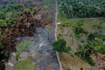 Un estudio precisa el impacto de la deforestación en la sequía de la Amazonia