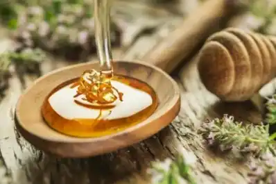 ¿Miel en las plantas?: para qué sirve y por qué lo recomiendan