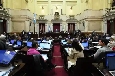 El Senado rechazó el veto de Milei y reactivó la ley de emergencia en discapacidad