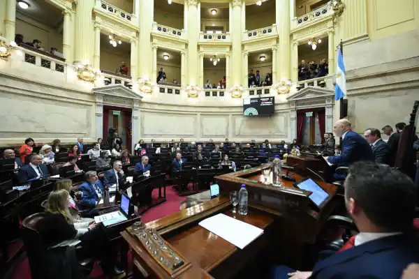 El Senado ya tiene fecha para revertir los vetos al financiamiento universitario y la emergencia pediátrica