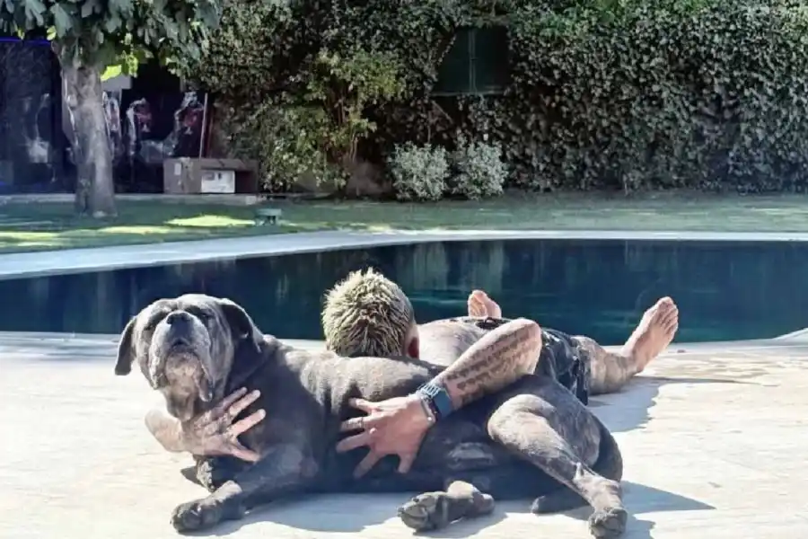 Así es la mansión de Mauro Icardi y la China Suárez en Estambul: las mejores fotos