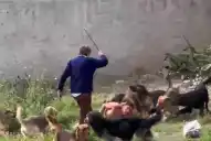 El caso del joven atacado por una jauría: una funcionaria cuestionó a la Justicia