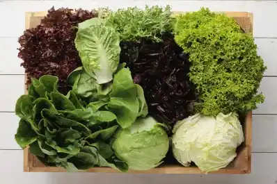 Los trucos de Paulina Cocina para guardar las verduras de hojas verdes