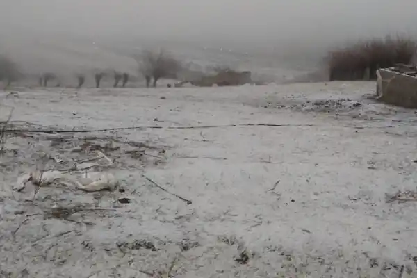 A días de la primavera, la postal invernal volvió a los Valles: Tafí amaneció bajo la nieve