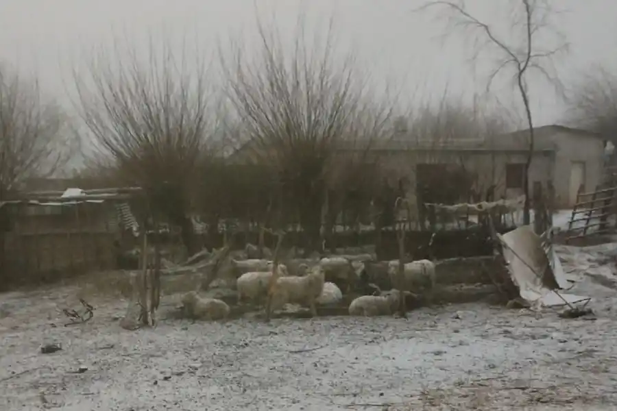A días de la primavera, la postal invernal volvió a los Valles: Tafí amaneció bajo la nieve