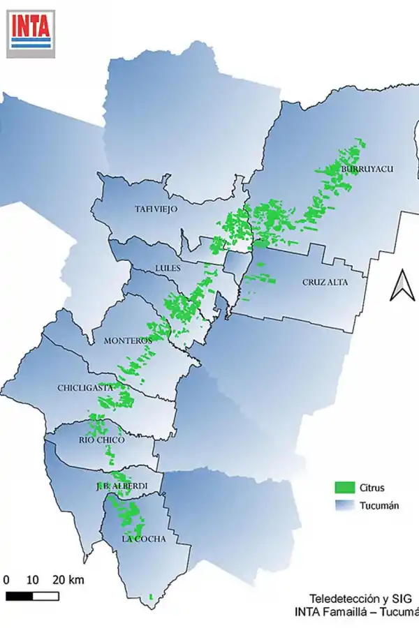 Figura 1: Distribución espacial de la superficie cultivada con cítricos en la provincia de Tucumán durante la campaña 2025.