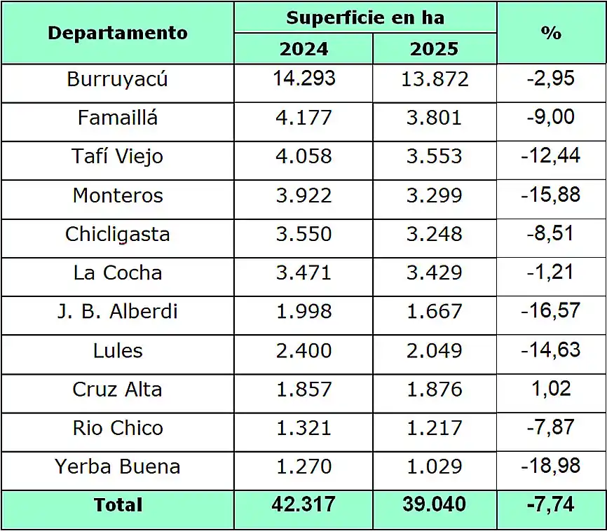 Tabla 2: Variación superficie implantada con Citrus entre las campañas 2025 y 2024.