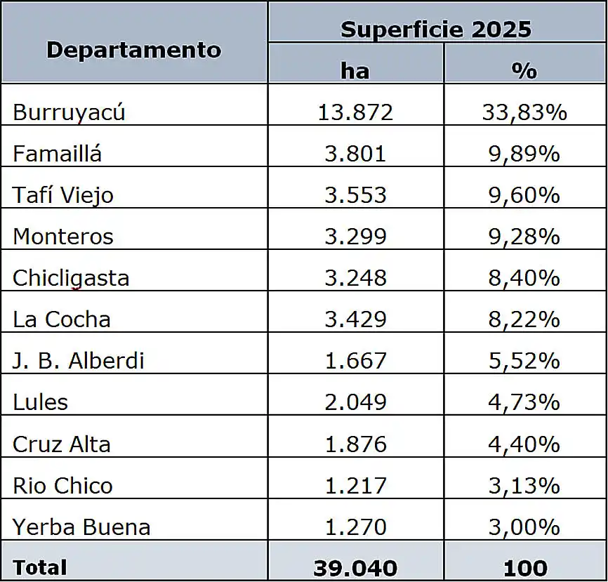 Tabla 1: Superficie y porcentaje departamental cultivado con cítricos en la provincia de Tucumán durante la campaña 2025.