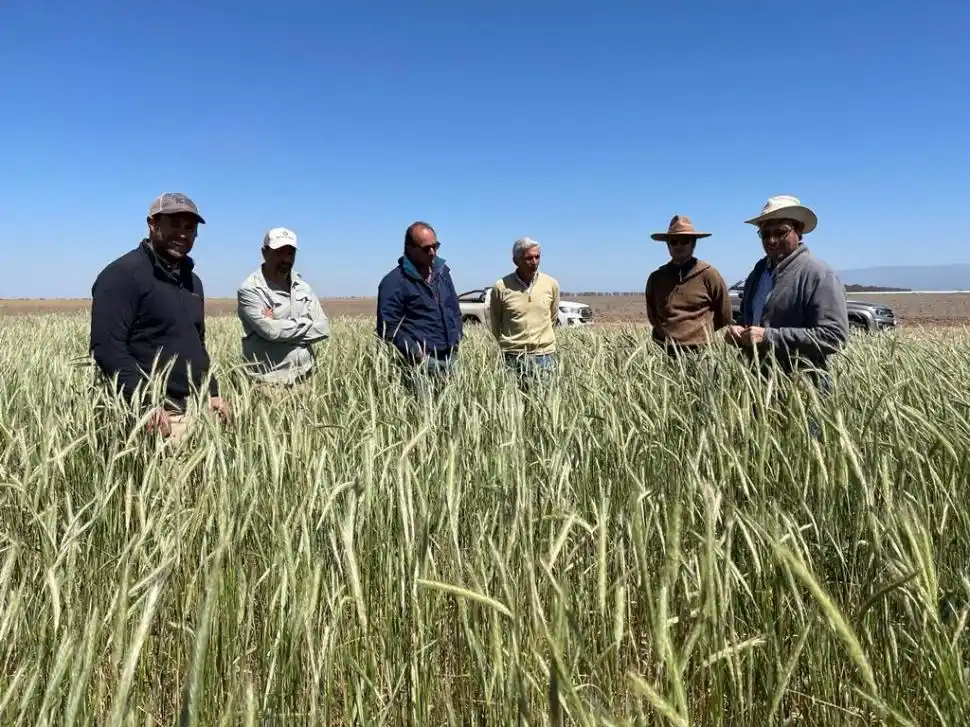 Cusillos: un cuarto de siglo de historia y un camino hacia la sustentabilidad