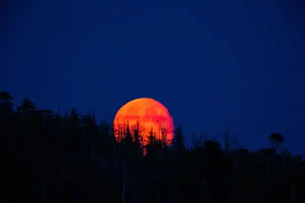 600x400_tres-rituales-para-hacer-durante-luna-sangre-7-septiembre-1101605-132038.webp