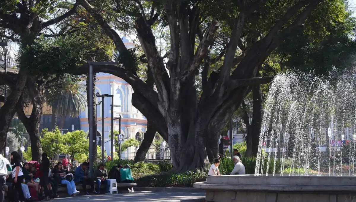 MÁS CÁLIDO. El viernes estará mayormente soleado y marcará el inicio de un fin de semana cálido. 