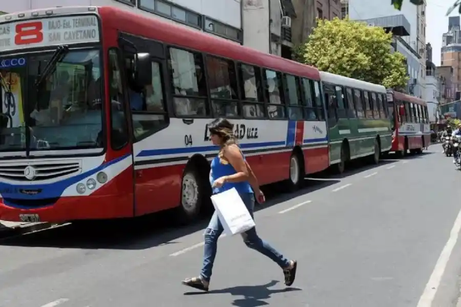 Transporte público: sin colectivos en la línea 8 y frecuencias limitadas en la 131