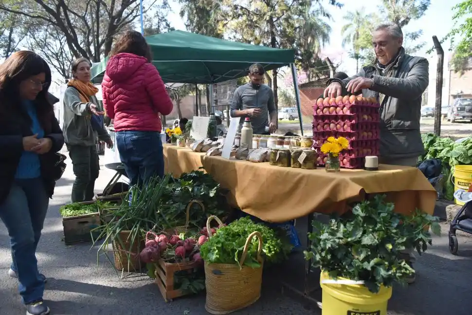 PLANTAS Y HUEVOS. Otro de los stands en el mercado.