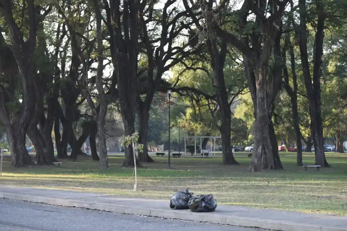 “San Miguel de Tucumán logró erradicar el 40% de sus basurales a cielo abierto”, contó Julieta Migliavacca
