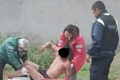 En Yerba Buena, el hombre que fue atacado por perros quedó bajo arresto domiciliario