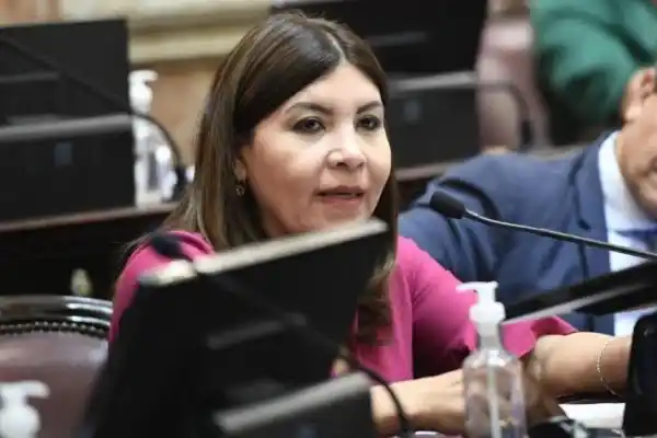 Sandra Mendoza: “El peronismo entendió que debía unirse porque está en juego la patria”