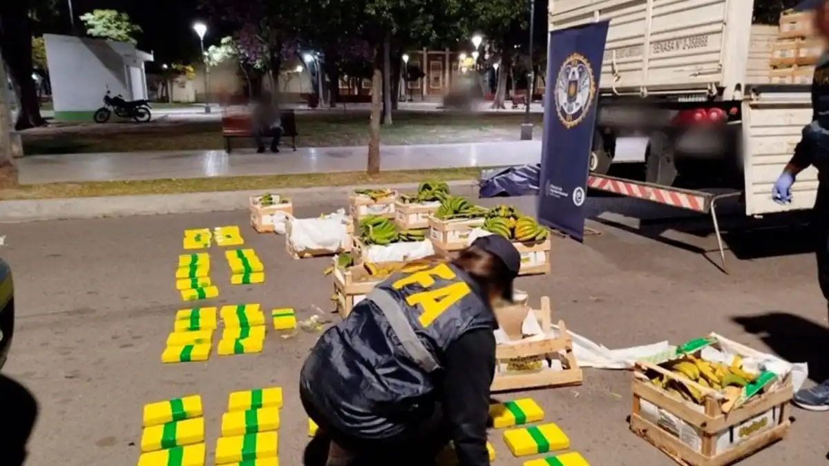 MÉTODO. Los federales encontraron cocaína ocultos en cajones de banana.