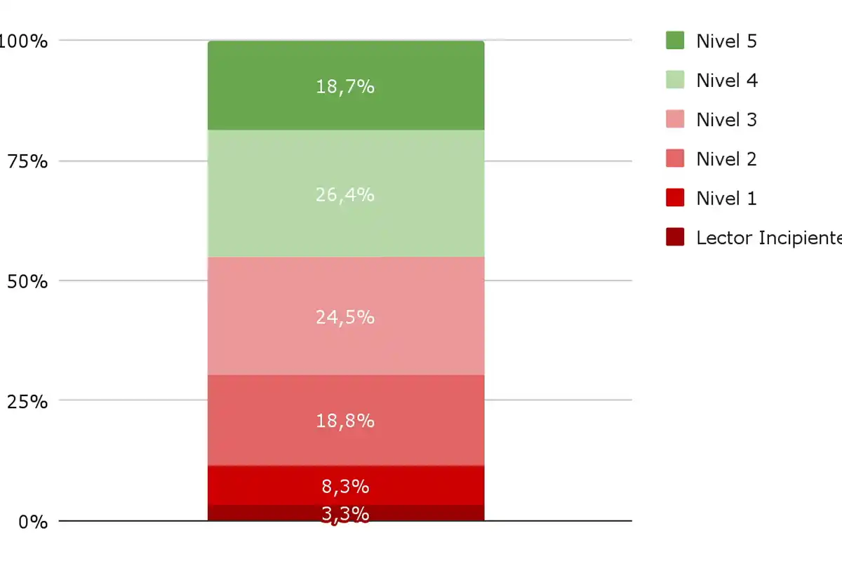NIVEL DE LECTURA. Este es el porcentaje de estudiantes según nivel de desempeño en Lectura en 2024. / ARGENTINOS POR LA EDUCACIÓN