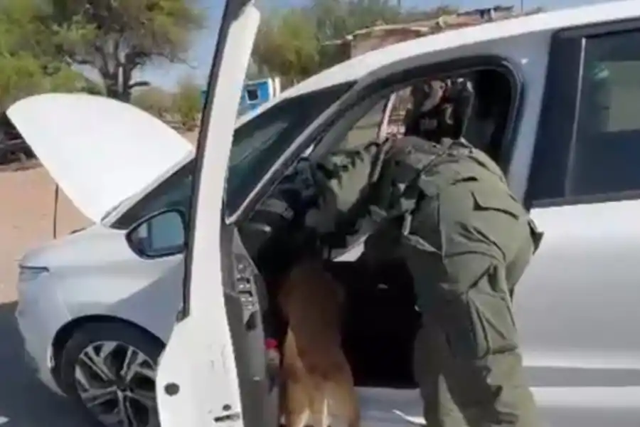 MOMENTO CLAVE. El perro detecta la cocaína oculta debajo de las alfombras del auto que fue detenido en Catamarca.