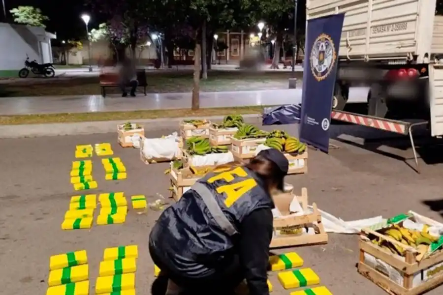 MÉTODO. Los federales encontraron cocaína ocultos en cajones de banana.