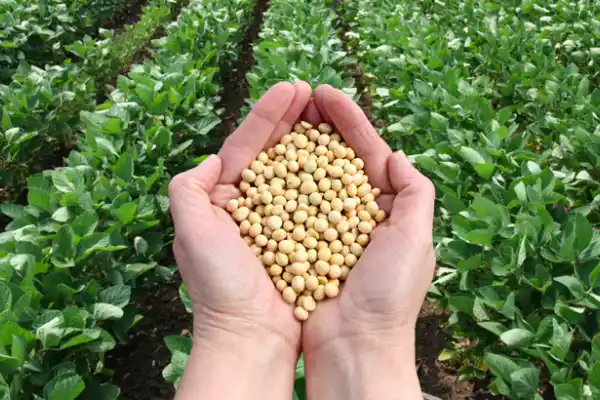 La Sociedad Rural Argentina destacó la baja de las retenciones, pero volvió a reclamar su eliminación