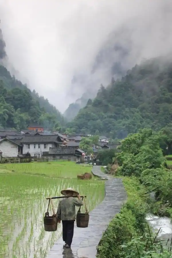 Vivir como en las zonas azules… sin mudarte de ciudad