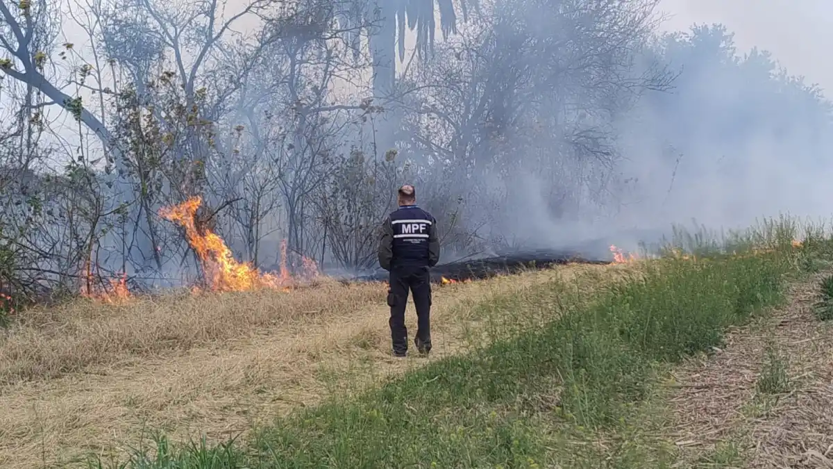 La Justicia investiga una nueva quema de rastrojos de caña en el este tucumano