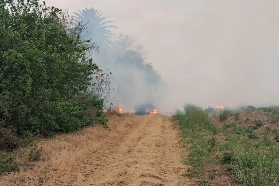 La Justicia investiga una nueva quema de rastrojos de caña en el este tucumano