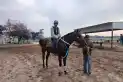 El hipódromo tucumano se prepara para vivir una jornada histórica