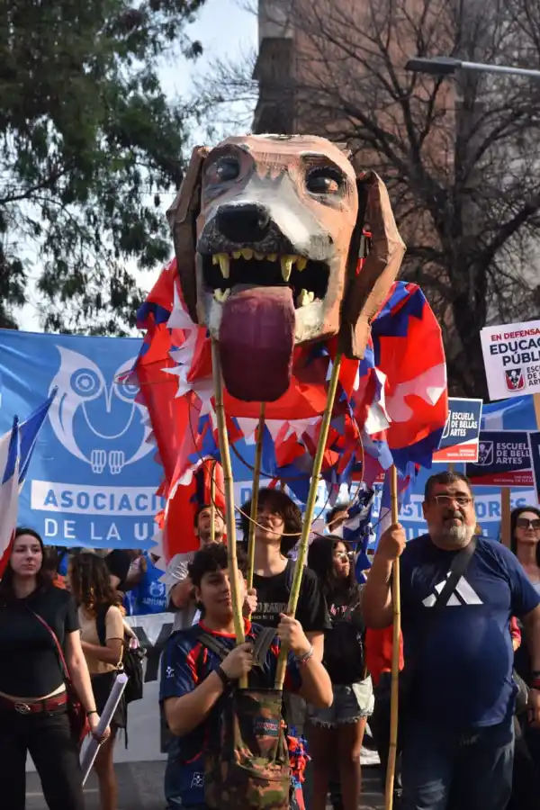 Marcharon en Tucumán a favor de la universidad pública: mirá las imágenes
