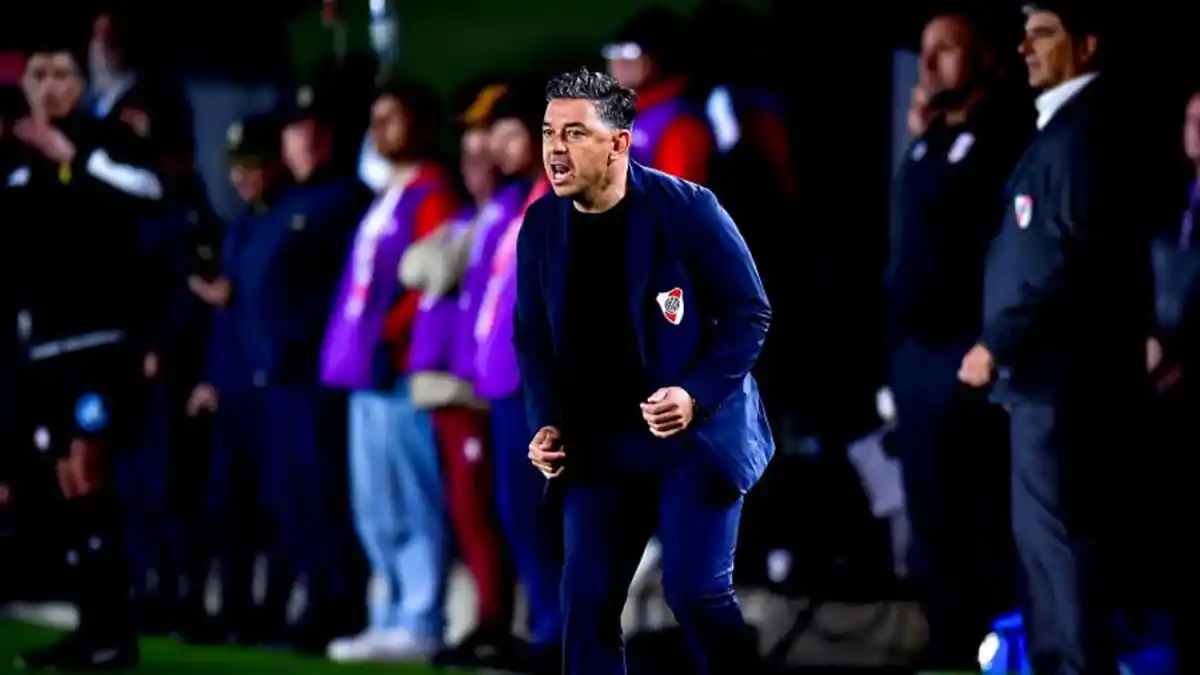 Marcelo Gallardo, en el duelo frente a Palmeiras.
