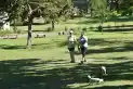 ¿Cuándo volverá a brillar el Parque Guillermina?