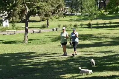 ¿Cuándo volverá a brillar el Parque Guillermina?