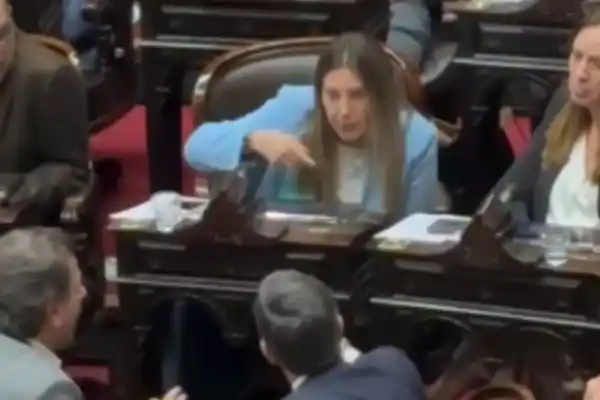 Tensión en el PRO: fuertes cruces en Diputados por los vetos de Milei y denuncia de Fernando Iglesias