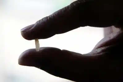 Una fecha, la paella que no es y 10.000 años de historia dentro de un grano