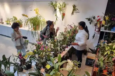 Expo Orquídeas en Yerba Buena: un mundo de belleza, pasión y cultura para descubrir este fin de semana