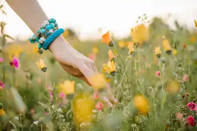 ¿Cómo estará el clima durante el fin de semana del Día de la Primavera?