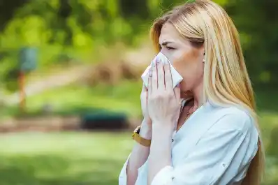 ¿Resfriado o alergia? Estas señales te pueden ayudar a distinguir los síntomas