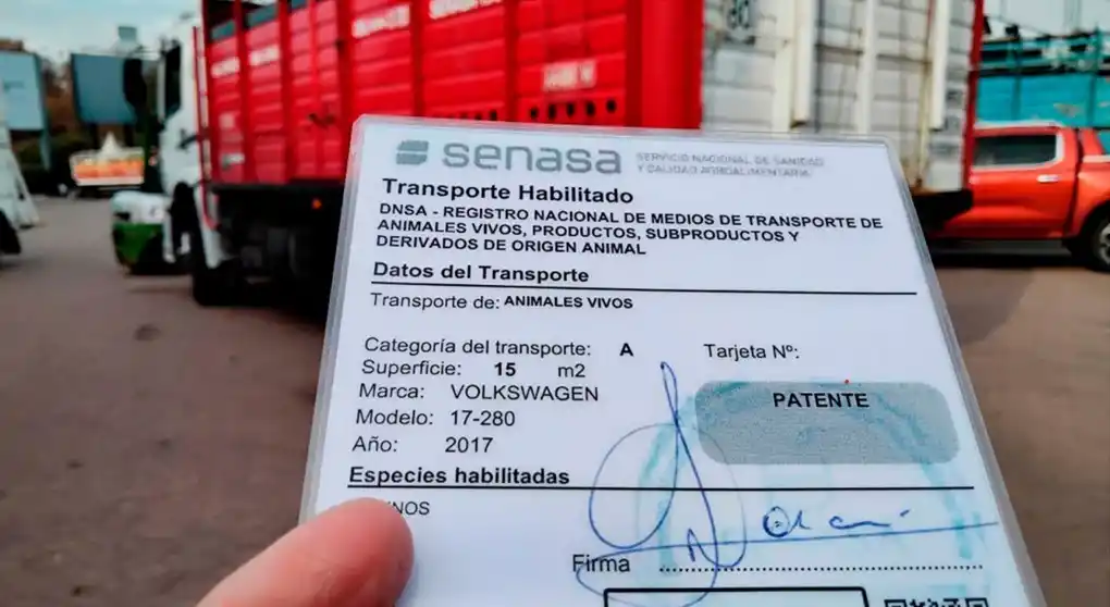 Exigencias sanitarias: nueva habilitación de transportes de animales vivos y productos