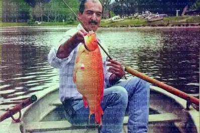 Recuerdos fotográficos: 2001. Peces de colores en el lago San Miguel