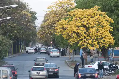 Salud en primavera: las alergias no se curan, pero sí se pueden controlar