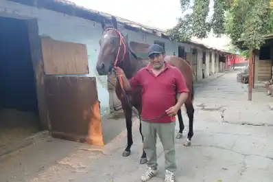 Las Carreras de las Estrellas, otro atractivo de la jornada del Batalla