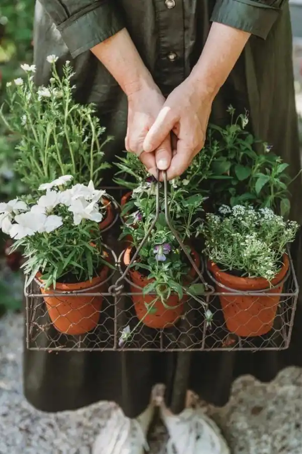 LifeStyle: Tu jardín, medicina natural
