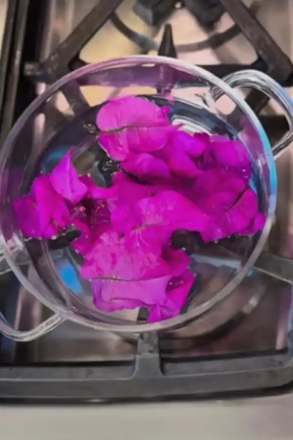 LifeStyle: Tu jardín, medicina natural