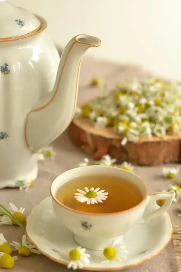 LifeStyle: Tu jardín, medicina natural