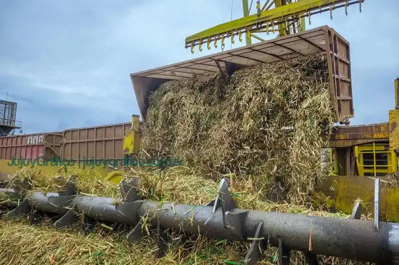 NIVEL PAÍS. Hasta ahora, la Argentina molió casi 20 millones de caña bruta.